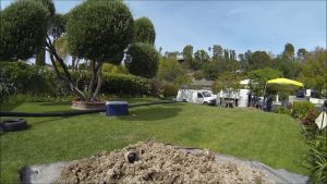 Inside image of a garden inside a house along with trees