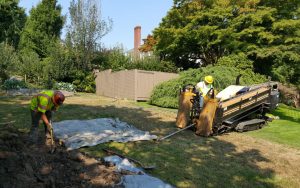 Two men doing sewage repair in the backyard