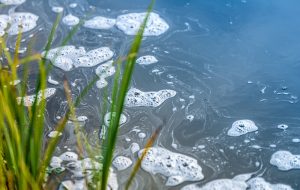 View of Water pollution in the river